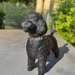 Statua cane barboncino in resina nero opaco