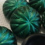Bottoni vintage '' smeraldo''