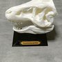 T-Rex statua 3D