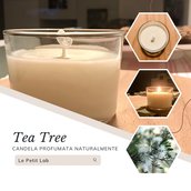 TEA TREE Candle, candela in cera di soia naturale profumata, tea tree, giara grande