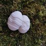 Uova di gesso decorative bianche per Pasqua 