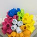 Mini tulipani colorati 