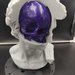 Statua David (Michelangelo) skull, teschio