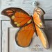 Farfalle in legno massello by Creazioni GiaRó©