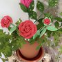 Rose mini all’uncinetto 