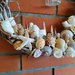 Ghirlanda decorativa di tralci di vite sbiancati, conchiglie, stelle marine, boccioli cuciti a mano, beige, bianco