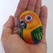 pappagallo dipinto su sasso