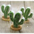 Gessetto cactus dipinto