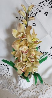 Orchidea cimbydium in porcellana fredda 