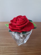 Rosa rossa "scomposta"