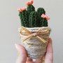 Cactus uncinetto piante grasse decorative 