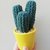 Cactus uncinetto vaso giallo