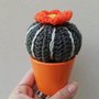 Cactus con fiore arancione
