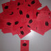  Bigliettini confetti per Laurea cm. 3x4,5 - 2 modelli