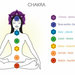 Collana unisex uomo donna con ciondolo pendente yoga con cristalli dai colori dei 7 chakra 
