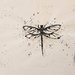 Disegno libellula con tecnica puntinato con pennino e china 