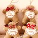 Famigliola di 5 gingerbread personalizzato con i vostri nomi da appendere all’albero o da regalare 