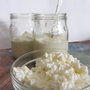 Fermenti Kefir