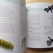 Manuale Fiori E Farfalle &... A Maglia Ai ferri E a Uncinetto