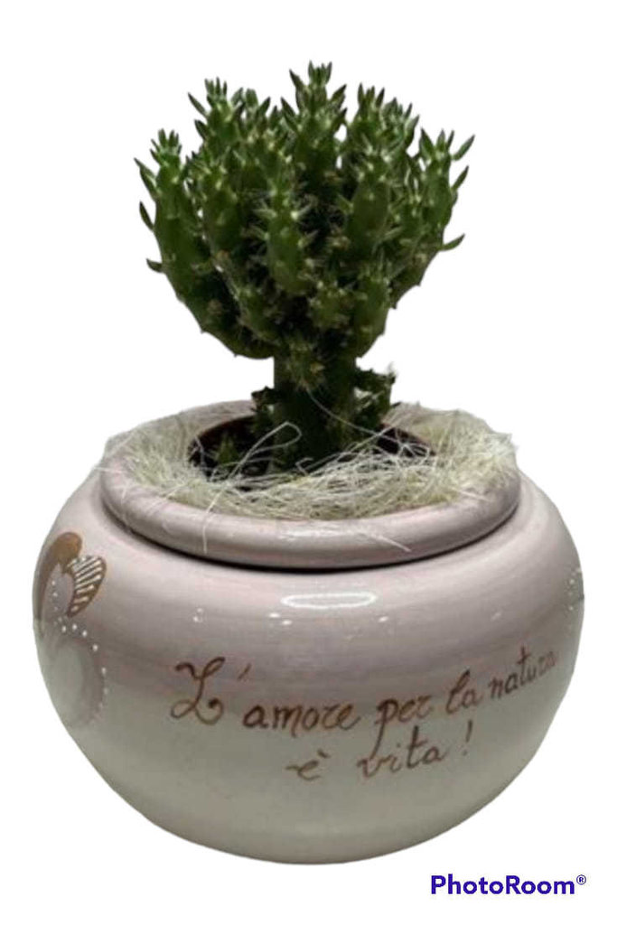 Gatto in Ceramica di Caltagirone decorato a mano cm20