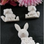 Orecchini A Cerchio In Argento Sterling Con Animali – Orso Polare, Volpe, Pinguino, Axolotl, Procione – Regalo Donna - 2