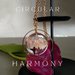 Collana con pendente in resina con fiori di Begonia essiccati - CIRCULAR HARMONY- 