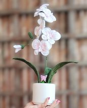 Orchidea lavorata a uncinetto bianca.