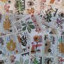 Hand made stickers/labels, Stickers, Leaves stickers, Junk journal, Scrapbooking, Diary planner stickers