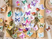 20 mixed butterfly flower language stickers, Stickers, Scrapbooking, Diary planner decoration