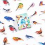 Cute animal birds stickers, Stickers, Junk journal, Scrapbooking, Diary planner stickers