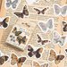 Vintage style butterfly stickers, Stickers, Scrapbooking, Diary planner embellishment