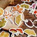 Autumn fallen leaves plant stickers, Stickers, Scrapbooking, Diary planner stickers