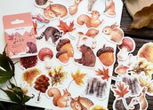 Forest diary stickers, decorative stickers, scrapbooking, bullet journal stickers, forest decorative stickers