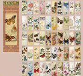 Vintage style book stickers, Stickers, Butterfly stickers, Scrapbooking