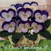 Violette fatte all’uncinetto 