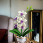 Orchidea fatta all’uncinetto 