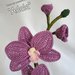Orchidea ad uncinetto  