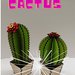 Cactus in legno colorato , come regalo, bomboniera.