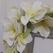 Cornice portafoto misshobby portaritratto in legno arredo decorazione casa fiori artificiali regalo Pizzi e Merletti 