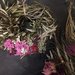 Coroncina_fuoriporta con rami d'ulivo intrecciati e fiori secchi