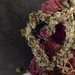 Cuore di fiori esiccati con Daucus carote_Queen Anne lace e spighe di grano