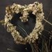 Cuore di fiori esiccati con Daucus carote_Queen Anne lace e spighe di grano