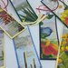 Segnalibro carta canne fiori natura idea regalo 