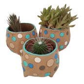 TRIS VASI IN TERRACOTTA TURCHESE , tris per piantine grasse e per cactus, vasi realizzati a mano