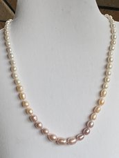 Collana perle di fiume ovali 3 colori a gradazione 