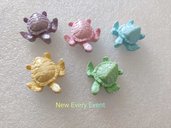 mini tartarughe colorate