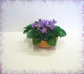 Vasetto di violette africane