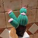 Cactus in vaso