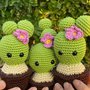 Cactus amigurumi con fiore