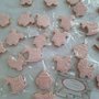 Biscottini nascita battesimo evento Gender reveal baby shower girl or boy 